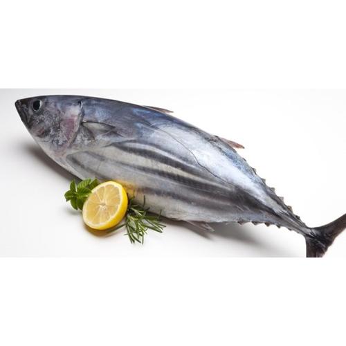 Poisson Assaf ou bonito en gros