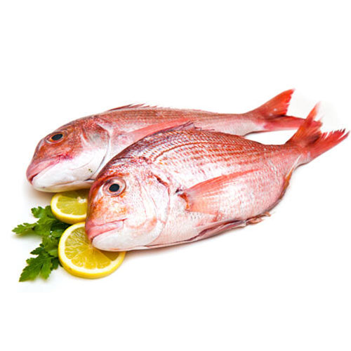 Poisson Dorade ou carpe rouge Surgelée